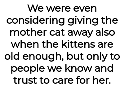 Image credit: catladyaita | catladyaita