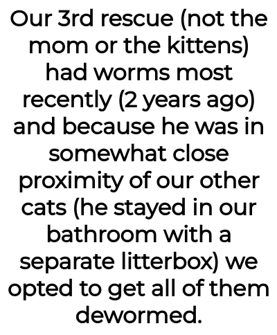 Image credit: catladyaita | catladyaita