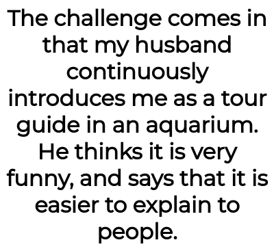 Image credit: TropicalOctopuss | TropicalOctopuss