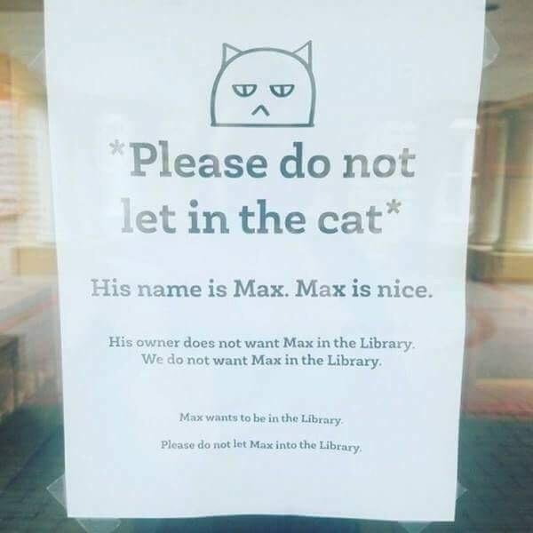 Image credit: Reddit | TheLoserCrowd