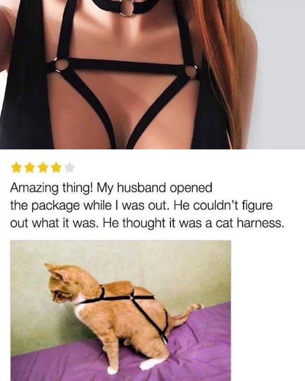 Image credit: Amazon