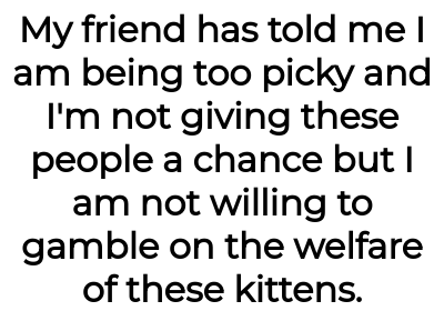 Image credit: catladyaita | catladyaita
