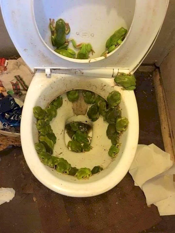 Image credit: Reddit | braithwete
