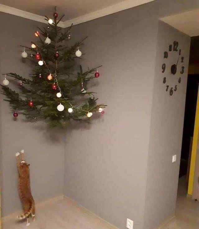 Image credit: Reddit | milovat