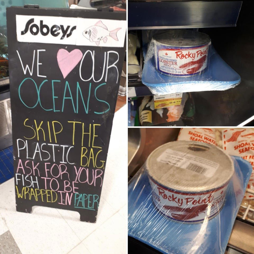 Image credit: Reddit | u/houseoffools11