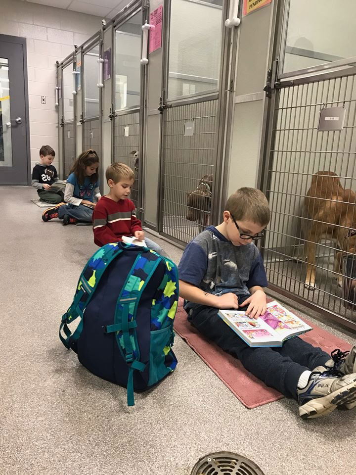 Image credit: Facebook | Ingham County Animal Control and Shelter