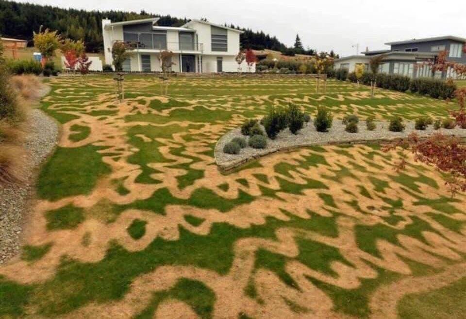Image credit: Reddit | hilltophermit