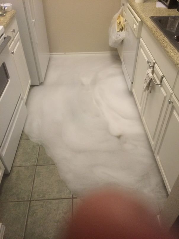 Image credit: Reddit | reporrr458