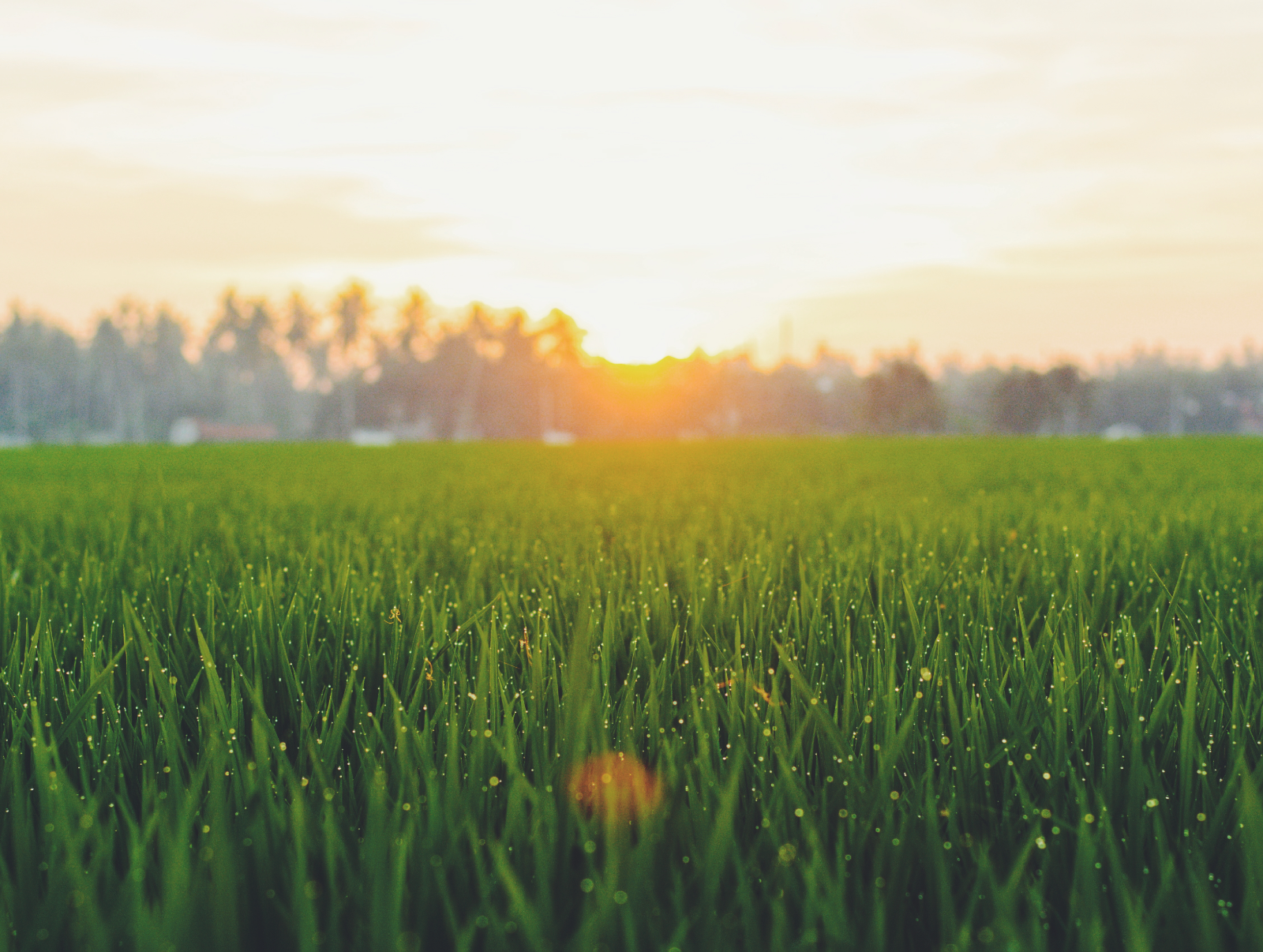 Image credit: Unsplash | Fauzan Saari