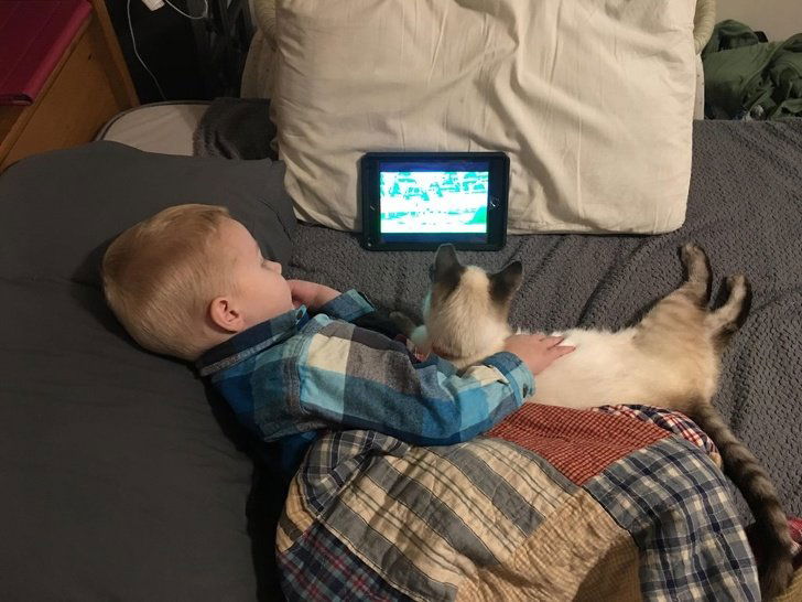 Image credit: Reddit l K-bear28
