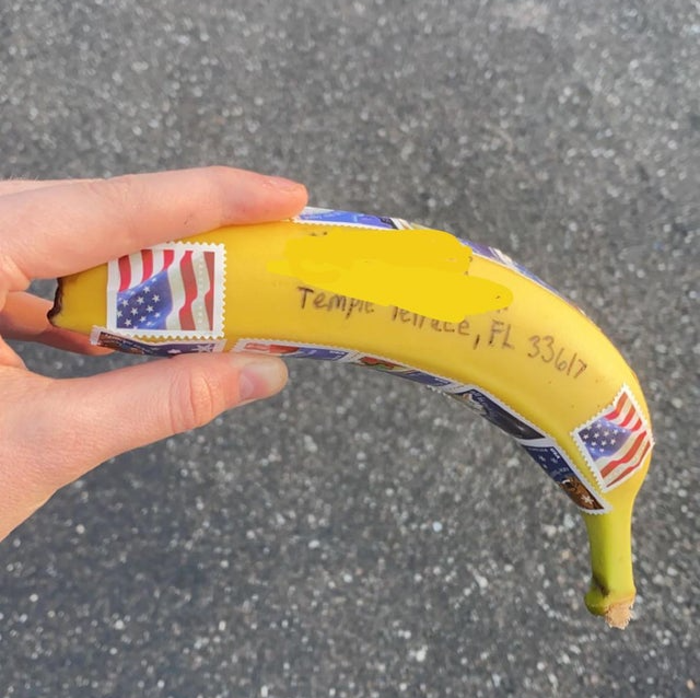 Image credit: Reddit | bullcountryftw