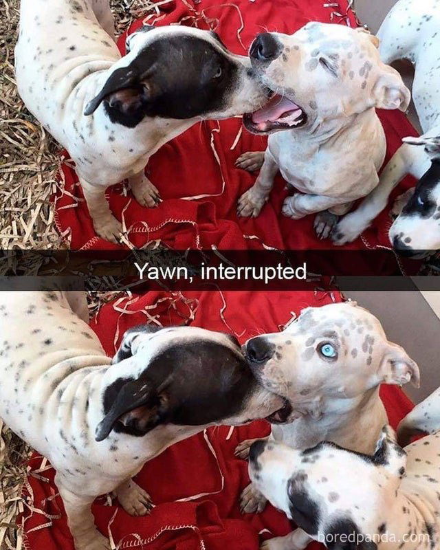 Image credit: Reddit | WyldBlu