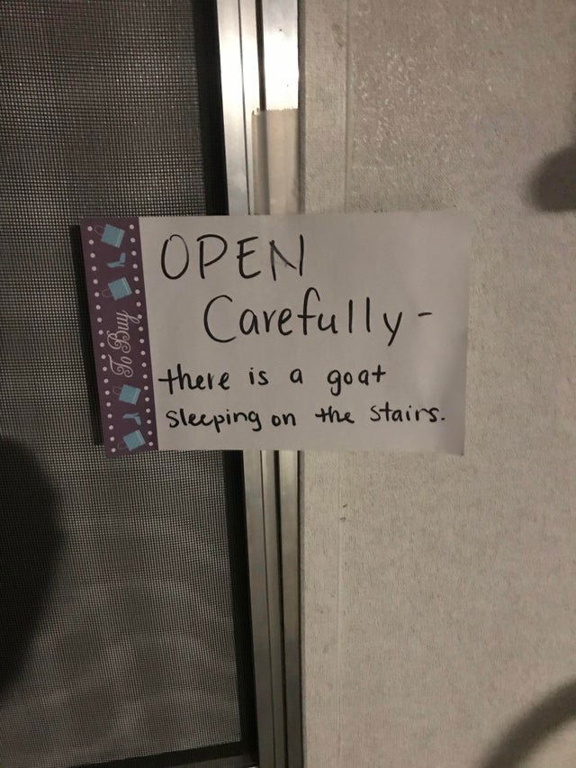 Image credit: Reddit | TheAlberticus