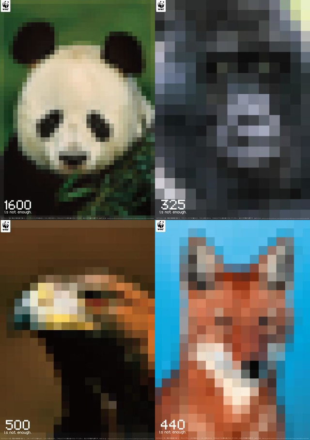 Image credit: Reddit | etheriox, WWF, Yoshiyuki Mikami