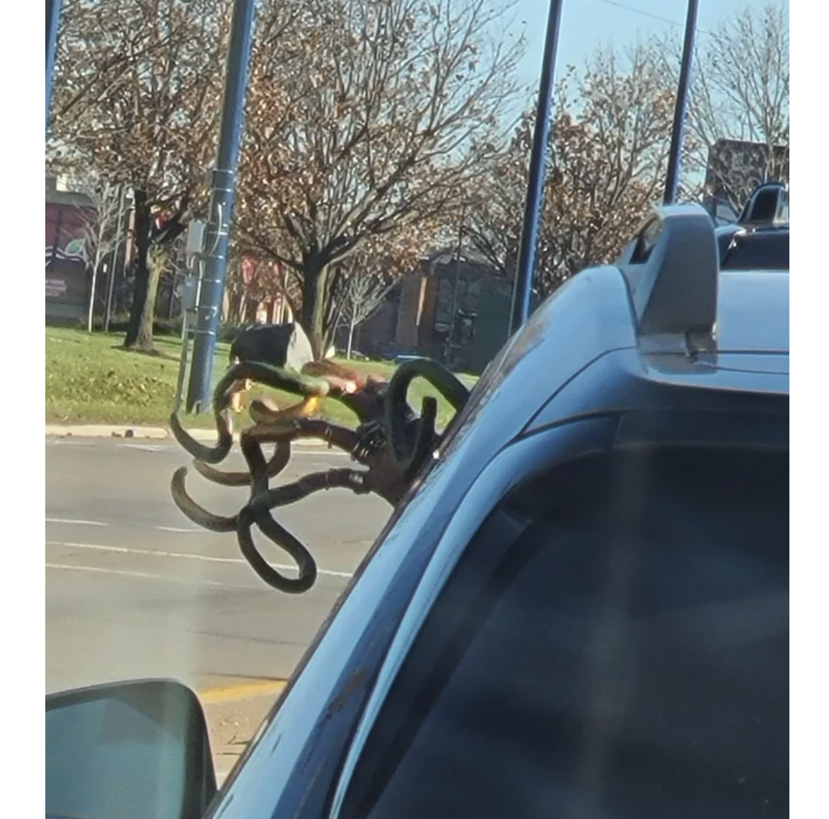 Image credit: Reddit | Analslammer